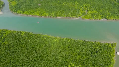 Aerial View of Emerald River and Lush Greenery, Phang Nga Bay, Mangrove Stockbeeldmateriaal 345121402