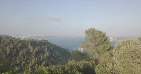 Aerial View Emerging from Forest Toward Mountain and Ocean Stock Footage 311940304