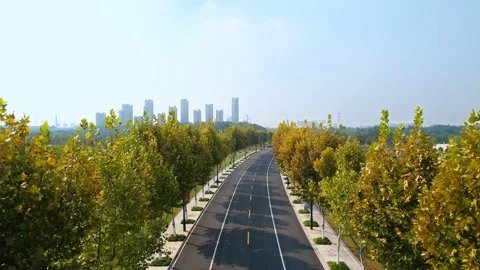 Aerial view of empty asphalt road in suburb Video stock 196962867