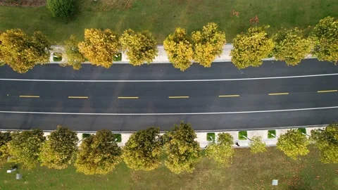 Aerial view of empty asphalt road in suburb Stock Footage 196962903