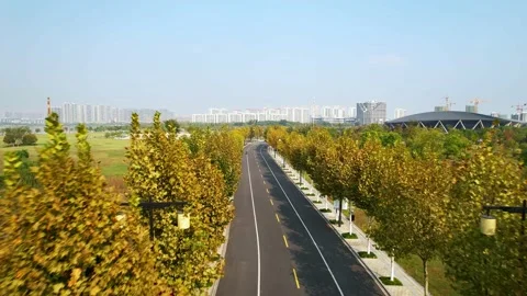 Aerial view of empty asphalt road in suburb Stock Footage 196971164
