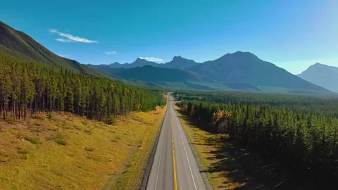 Aerial view of empty asphalt road cutting through dense pine forest Stock Footage 345484686