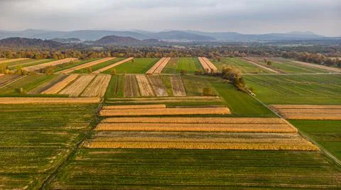 Aerial view of empty autumn fields at sunset. Stock Photos