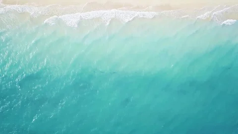 Aerial view of empty beach and turquoise sea, with umbrellas and sun loungers Stock Footage 111529451