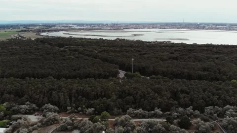 Aerial view of the empty beach at the beginning of the season, in Italy. Stock Footage 131932628