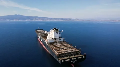 Aerial view of empty cargo container ship MSC shipping company at anchorage Stock Footage 236036094