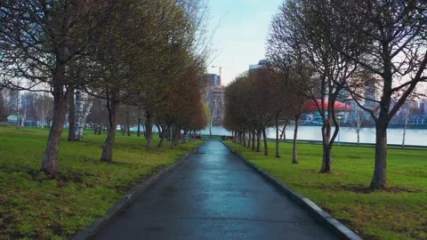 Aerial view of an empty city during a pandemic Stock-Footage 149118275