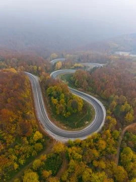 Aerial view of empty forest road covered with morning fog and soft light Stock Photos
