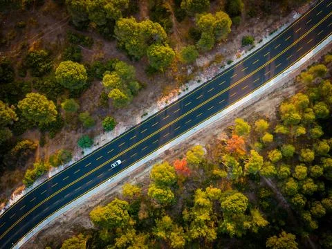 Aerial view of empty highway cutting through dense pine forest Stock Photos