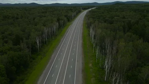 Aerial view of Empty Highway next to Forest, Mountains Range, Russia Stock-Footage 163100054