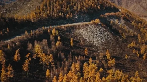 Aerial view of the empty, lonely serpentine mountain road at high altitude Stock Footage 150051312