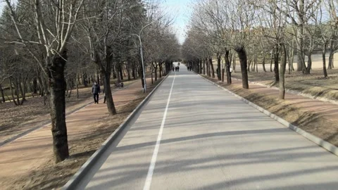 Aerial view of an empty main park avenue in early spring Stock Footage 337998633