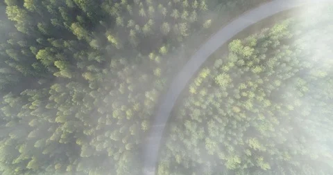 Aerial view of empty misty curving road in Finland. Stock Footage 117491997