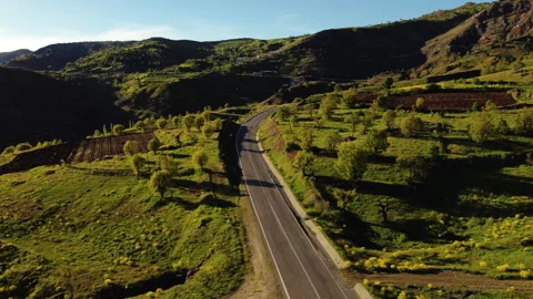 Aerial view of an empty mountain road. Mountains, trees, green vegetation around Stock Footage 258497423