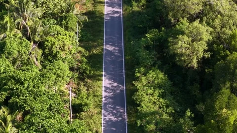 Aerial view of empty narrow paved road through dense green forest landscape Stock Footage 344817215