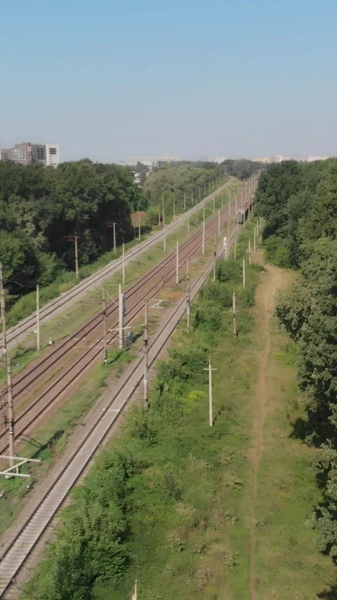 Aerial view of empty railway tracks through green forest Video stock 347366945