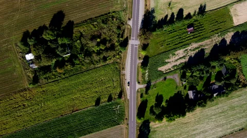 Aerial View Of Empty Road Between Fields On A Sunny Day In Poland Stock Footage 251641857