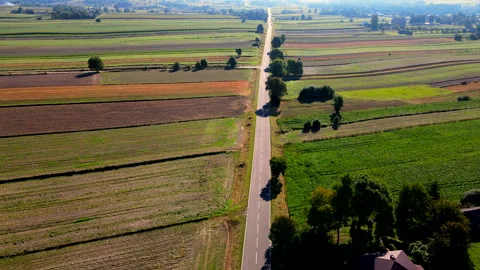 Aerial View Of Empty Road Between Fields On A Sunny Day In Poland Stock Footage 251653642