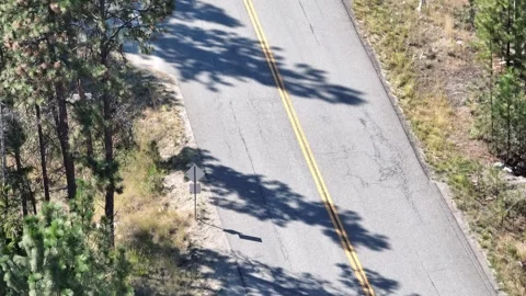 Aerial View of Empty Road with Trees Casting Long Shadows Stock Footage 258165868