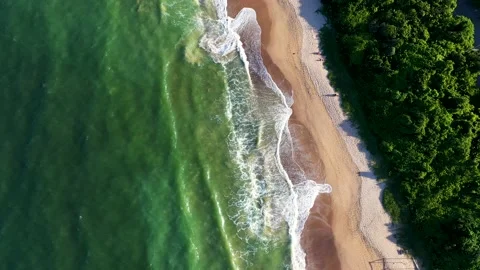 Aerial view of empty tropical beach at the coast of Brazil. Stock Footage 158574556