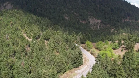 Aerial view of empty winding mountain road through dense evergreen forest Stock Footage 344095023