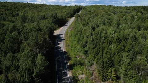 Aerial View of an Empty Winding Road Through Quebec Forest Stock-Footage 338325579
