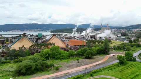 Aerial view of the Ence pulp mill and wood chip piles, Spain. Stock Footage 336431393