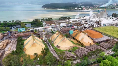 Aerial view of the Ence pulp mill and wood chip piles, Spain. Stock Footage 336431680