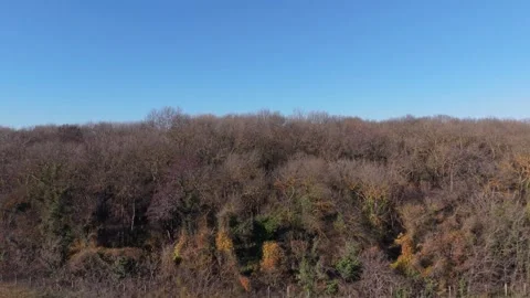 Aerial View of Endless Fields and Distant Horizon Under Clear Sky Stock Footage 324529249