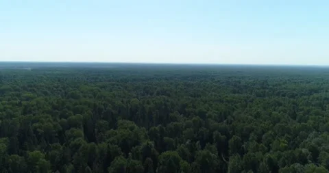 Aerial view of the endless forest 4K Stock Footage 136192845