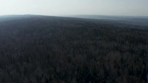 Aerial view of the endless forest Stock Footage 150918011