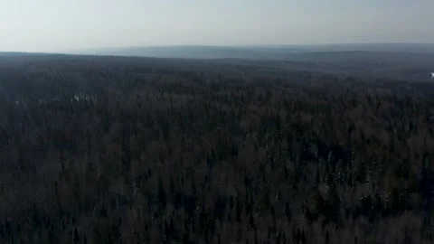 Aerial view of the endless forest Stock Footage 150918152