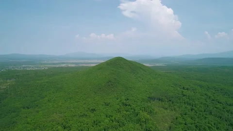 Aerial view of an endless geen forest and a hill against the blue sky with Stock Footage 170136100