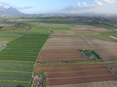 Aerial View of Endless Green Fields Stock Footage 79095318