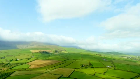 Aerial view of endless lush pastures and farmlands of Ireland's Dingle Peninsula Видео 243584045