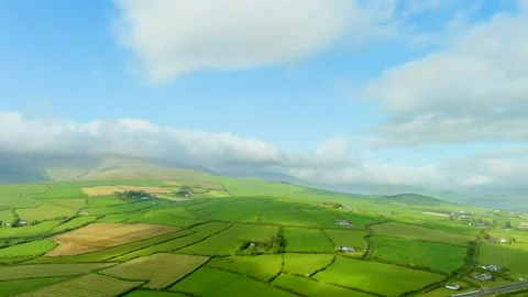 Aerial view of endless lush pastures and farmlands of Ireland's Dingle Peninsula Stock Footage 244316110
