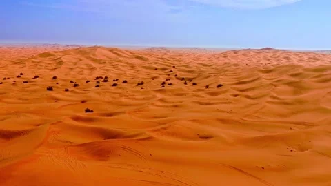 Aerial view of endless sand dunes in Arabian desert landscape with golden Stock Footage 343696521
