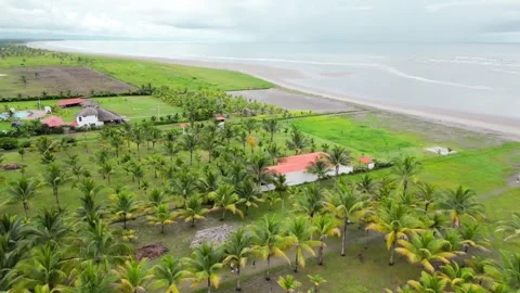 Aerial view of endless Sandy Beach Of Ecuador With Palm Tree Forest. Vídeos de archivo 250402510