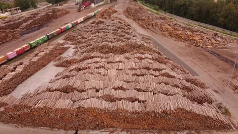 Aerial view of endless stacked logs at a paper mill log yard, Austria 스톡 동영상 344734702