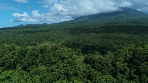 Aerial view of endless tropical forest canopy near Mayon Volcano. Video stock 336966435