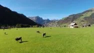 Aerial View Of Engelberg, Switzerland Stock Footage