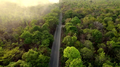 Aerial view environment with smoke from fire forest burn, pollution problem.. Stock Footage 241316434