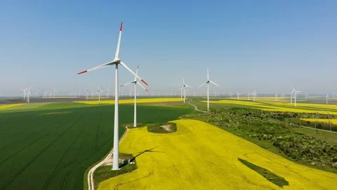 Aerial view of eolian turbines. Rapeseed field in bloom. Renewable energy Stock Footage