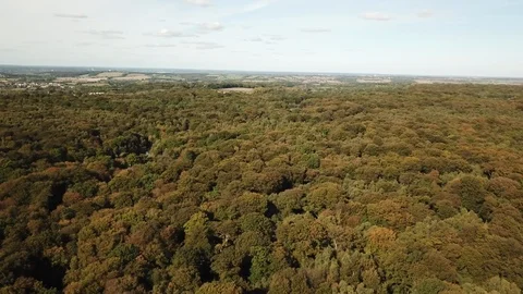 Aerial View of Epping Forest Stock Footage 100369987