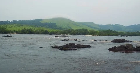 Aerial view of a equatorial river with rapids brown water in Africa Gabon 201 Video stock 82355168