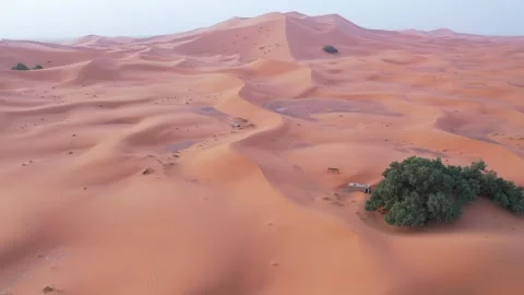 Aerial View of Erg Chebbi Sand Dunes in Merzouga Sahara Morocco Stock Footage 338169333