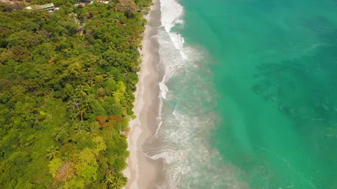 Aerial view of Espadilla beach with sandy shore and tropical forest, Costa Rica Stock Footage 344703018