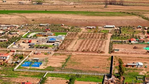 Aerial view establishing small parcels with grapevines planted for production 스톡 동영상 321398064