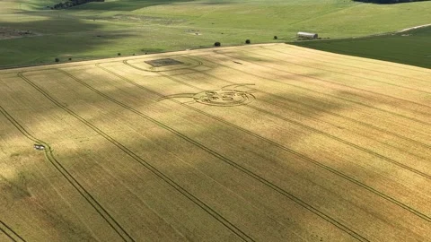 Aerial view establishing smiling jester crop circle on golden patterned Stock Footage 314265814