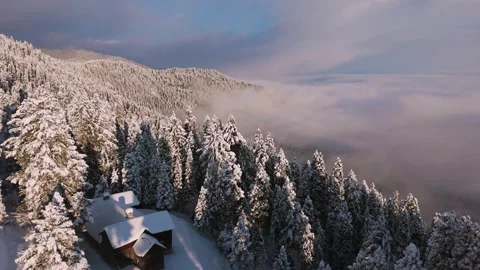 Aerial view of ethereal cloudscapes over a pine forest in Kashmir’s Gulmarg. Stock Footage 311947508